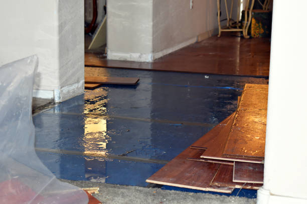 Professional Water Damage Restoration technician working in Oak Park, MN